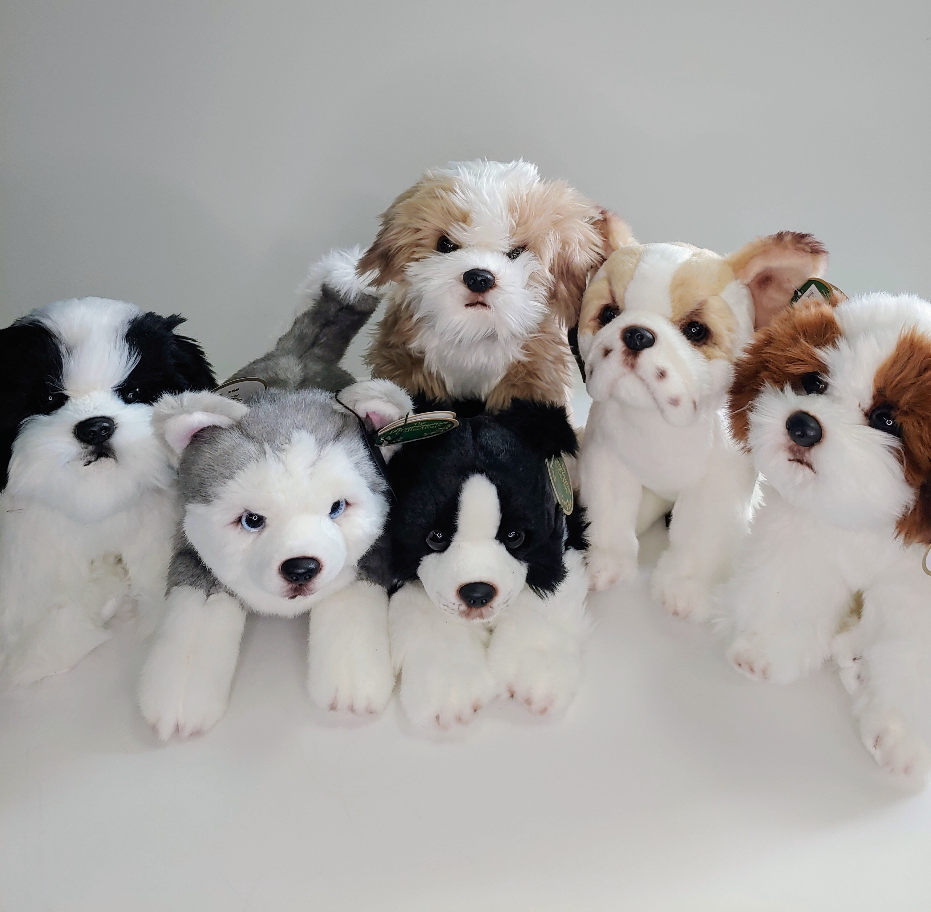 Stuffed Dogs